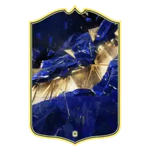 FC25 Team Of The Year